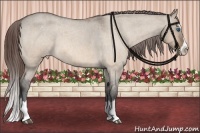 Horse Color:Bay Roan Dun Splash Blanket 