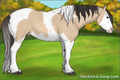 Horse Color: Bay Dun Splash Tobiano 