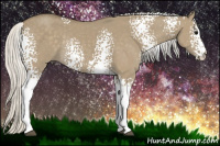 Horse Color:White Spotted Silver Smoky Grullo Rabicano 