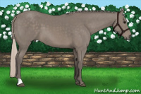 Horse Color:Silver Black 