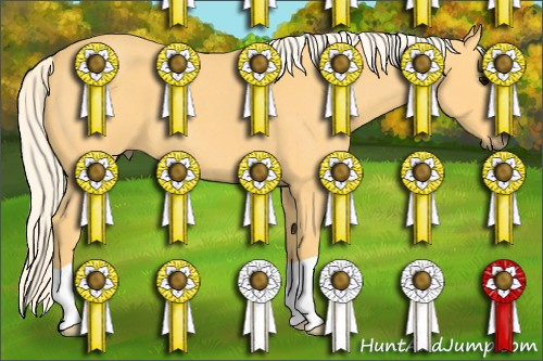 Horse Color: Palomino Roan 