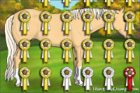 Horse Color:Palomino Roan 