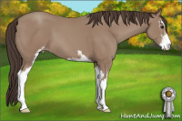 Horse Color:Sable Champagne Sabino 