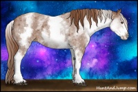 Horse Color:White Spotted Red Roan 