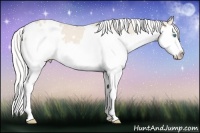 Horse Color:White Spotted Silver Smoky Creme Splash