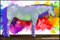 Horse Color:Watercolor Bay Ice 