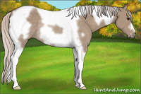 Horse Color:Silver Brown Dun Tobiano Frame Rabicano