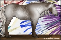 Horse Color:Gray Silver Smoky Black 