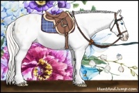 Horse Color:White Spotted Cremello Splash Frame Appaloosa