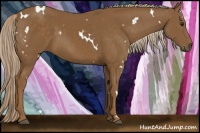 Horse Color:White Spotted Chocolate Palomino