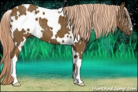 Horse Color:White Spotted Chocolate Palomino 