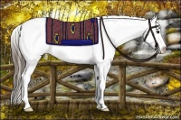 Horse Color:White Spotted Brown Splash Appaloosa 