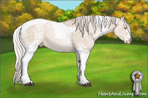 Horse Color: White Spotted Silver Grullo Ice Pearl Tobiano 