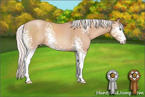 Horse Color: White Spotted Silver Classic Champagne Sabino 