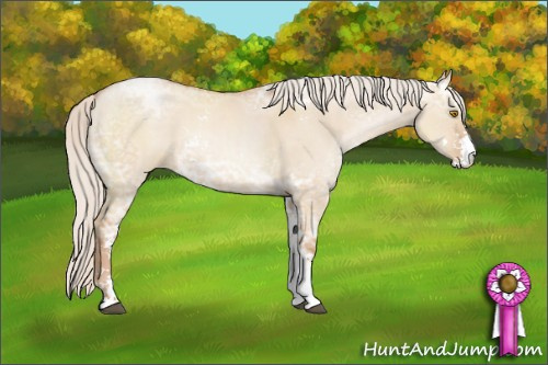 Horse Color: Silver Grullo Ice Pearl Sabino 