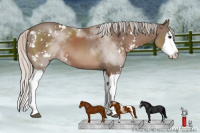 Horse Color:Silver Black Sabino Splash