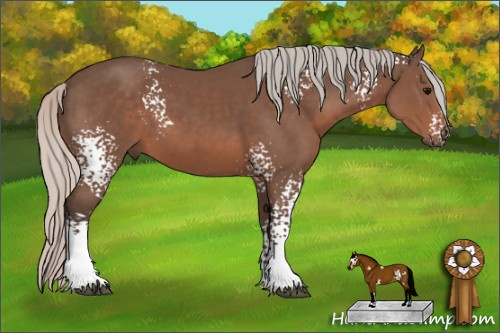 Horse Color: White Spotted Silver Black 