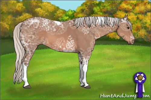 Horse Color: White Spotted Silver Bay Ice Tobiano 