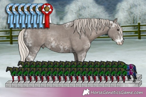 Horse Color:White Spotted Silver Black Ice Tobiano 