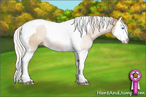 Horse Color: Silver Black Pearl Sabino Splash Tobiano 