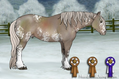 Horse Color: White Spotted Silver Black 