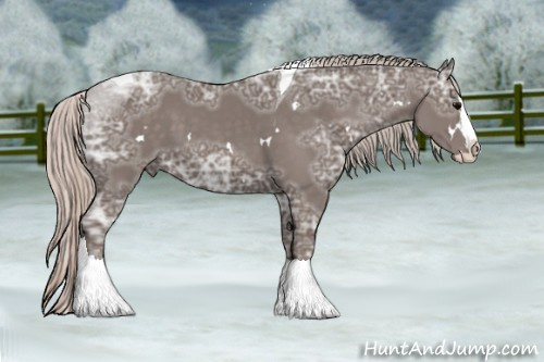 Horse Color: White Spotted Silver Black Ice Splash Tobiano 