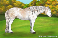 Horse Color:White Spotted Silver Black Ice Pearl Splash