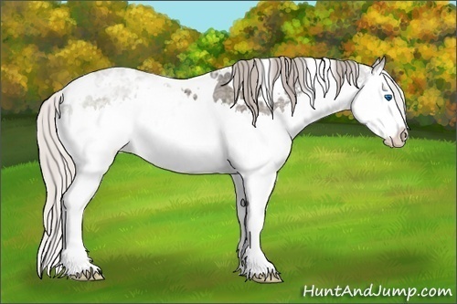 Horse Color: White Spotted Silver Black Ice Sabino Splash 