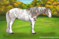 Horse Color:White Spotted Silver Black Splash Tobiano 
