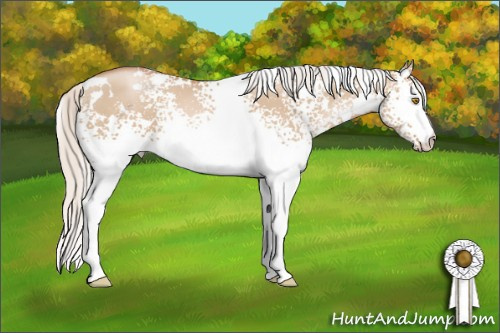Horse Color: White Spotted Silver Grullo Pearl 
