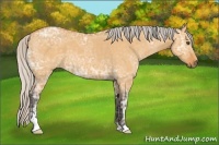 Horse Color:Silver Buckskin Ice Dun Sabino