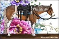 Horse Color:Silver Buckskin Sabino