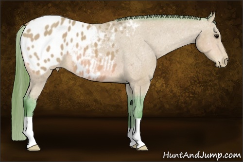 Horse Color: Watercolor Bay Blanket 