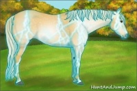 Horse Color:Gray Thunderstruck Palomino Dun 