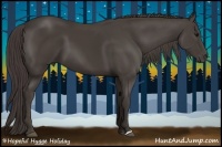 Horse Color:Smoky Black 