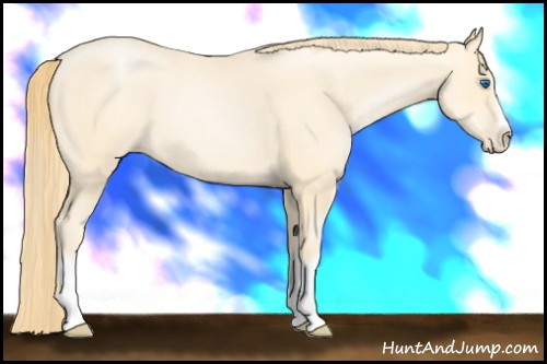 Horse Color: Buckskin Pearl Splash Frame 