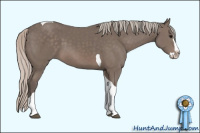 Horse Color:Unknown 