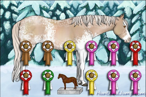 Horse Color: Unknown 