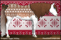 Horse Color:Liver Chestnut Splash 