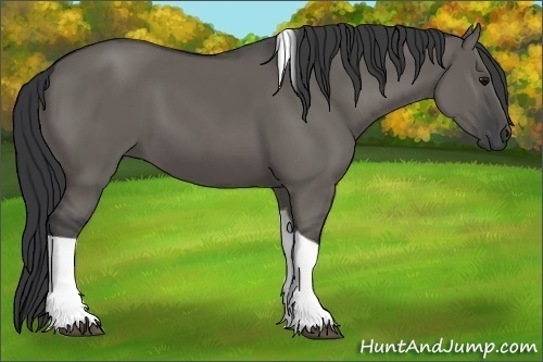 Horse Color:Grullo Tobiano