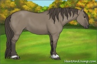 Horse Color:Smoky Grullo 