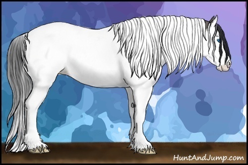 Horse Color: Grullo Splash Tobiano 