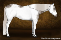Horse Color:White Spotted Silver Black Splash Frame 