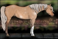 Horse Color:Silver Bay Dun