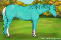 Horse Color:Watercolor White Spotted Black Rabicano 