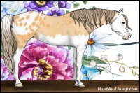 Horse Color:Buckskin Splash Blanket 