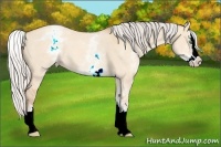 Horse Color:White Spotted Silver Classic Champagne Roan Dun Splash