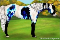 Horse Color:White Spotted Silver Amber Champagne Dun Splash 