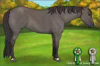 Horse Color:Smoky Grullo