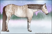 Horse Color:Gray Red Dun Ice 